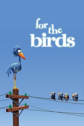 鳥(niǎo)！鳥(niǎo)！鳥(niǎo)！