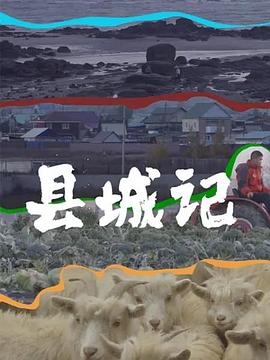 縣城記(全集)