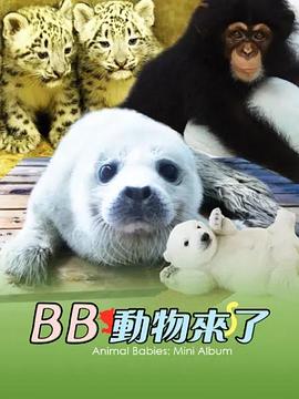 動(dòng)物寶寶迷你特輯(全集)